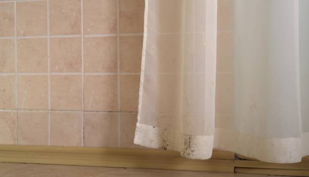 Best Mold Remediation for Vacation Homes  in Hawaiian Gardens, CA