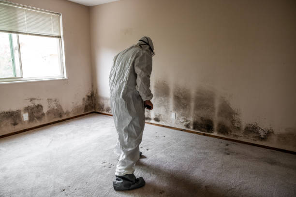 Best Biohazard Mold Removal  in Hawaiian Gardens, CA